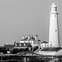 Buy canvas prints of  St Marys Island and Lighthouse in Mono by Naylor's Photography