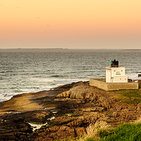 Buy canvas prints of The Lighthouse at Stag Rock by Naylor's Photography
