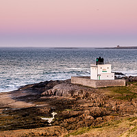Buy canvas prints of The Bamburgh Lighthouse........... by Naylor's Photography