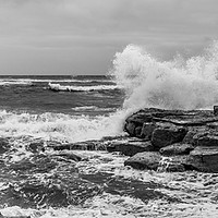 Buy canvas prints of Making a Mono Splash............. by Naylor's Photography