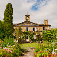 Buy canvas prints of Howick Hall Gardens............ by Naylor's Photography