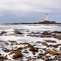 Buy canvas prints of St Mary's Lighthouse from afar by Naylor's Photography