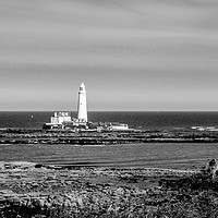 Buy canvas prints of Landscape and the Lighthouse in black and white by Naylor's Photography