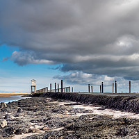 Buy canvas prints of Taking Refuge on Lindisfarne by Naylor's Photography