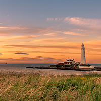 Buy canvas prints of Sunset at St. Mary's Lighthouse by Naylor's Photography