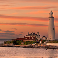 Buy canvas prints of Sundown at St. Mary's Lighthouse by Naylor's Photography