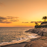 Buy canvas prints of Sun setting over the sea and palm trees  by Naylor's Photography