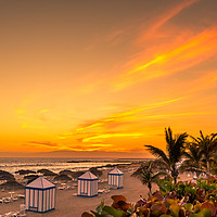 Buy canvas prints of Costa Adeje Golden Sunset by Naylor's Photography