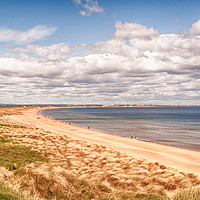 Buy canvas prints of The Beach at Seaton Sluice  by Naylor's Photography