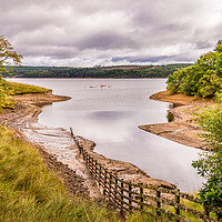 Buy canvas prints of Lakeside walk in Kielder  by Naylor's Photography