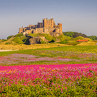 Buy canvas prints of The Castle and Campion by Naylor's Photography