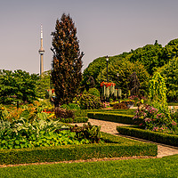 Buy canvas prints of  Gardens of the Toronto Islands  by Naylor's Photography