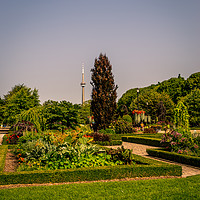 Buy canvas prints of The Toronto Islands Gardens by Naylor's Photography