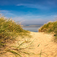 Buy canvas prints of Golden Sandy Dunes by Naylor's Photography