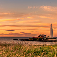 Buy canvas prints of Welcoming the Warmth to our Shores Panorama by Naylor's Photography