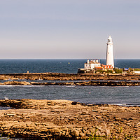Buy canvas prints of Lighthouse View by Naylor's Photography