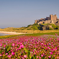 Buy canvas prints of The Castle and the Campion by Naylor's Photography