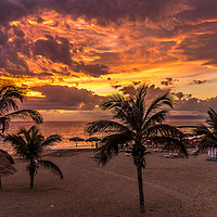 Buy canvas prints of Palm Trees and Sunset by Naylor's Photography