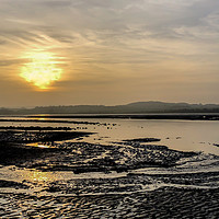 Buy canvas prints of Budle Bay Nature Habitat by Naylor's Photography