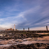 Buy canvas prints of St Mary's Lighthouse from the beach by Naylor's Photography
