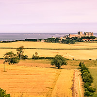 Buy canvas prints of A panoramic vista of Bamburgh Castle by Naylor's Photography