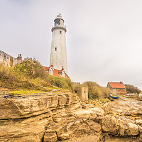 Buy canvas prints of A different view of St Mary's lighthouse by Naylor's Photography