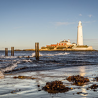 Buy canvas prints of St. Mary's and the old jetty posts by Naylor's Photography