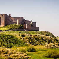 Buy canvas prints of Bamburgh Castle from another place by Naylor's Photography