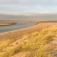 Buy canvas prints of Wispy Dunes at Budle Bay by Naylor's Photography