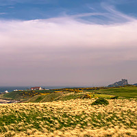 Buy canvas prints of Bamburgh Golf Course by Naylor's Photography