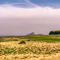 Buy canvas prints of Bamburgh Golf Course Panoramic by Naylor's Photography