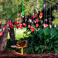 Buy canvas prints of Love Tree by Naylor's Photography