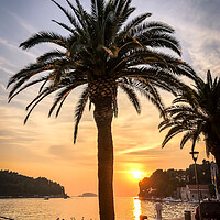 Buy canvas prints of Summer nights in Cavtat by Naylor's Photography