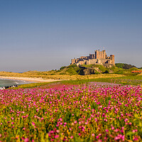Buy canvas prints of Bamburgh Castle from far afield by Naylor's Photography