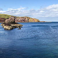 Buy canvas prints of Saint Abbs Panorama  by Naylor's Photography