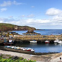 Buy canvas prints of Beautiful day at St Abbs by Naylor's Photography