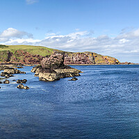Buy canvas prints of St Abbs Panorama by Naylor's Photography