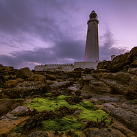 Buy canvas prints of St Marys Lighthouse by Les Hopkinson