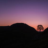 Buy canvas prints of Sycamore Gap Silhouette by Les Hopkinson