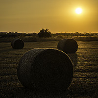 Buy canvas prints of Hay Bales Sunset by Andy Beattie