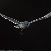 Buy canvas prints of Barn Owl with Field Vole by Andy Beattie
