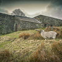 Buy canvas prints of Wuthering Heights by Colin & Linda McKie