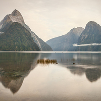 Buy canvas prints of Mitre Peak, Milford Sound, in Early Morning by Colin & Linda McKie
