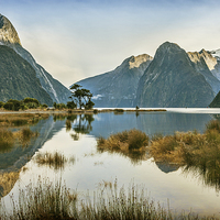 Buy canvas prints of Milford Sound by Colin & Linda McKie