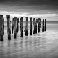 Buy canvas prints of Old Jetty Pilings Dunedin New Zealand by Colin & Linda McKie