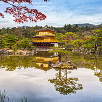 Buy canvas prints of Golden Pavilion, Kyoto, Japan by Colin & Linda McKie