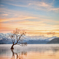 Buy canvas prints of Lake Wanaka Otago New Zealand by Colin & Linda McKie