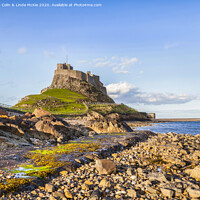 Buy canvas prints of Lindisfarne Castle, Northumberland, England by Colin & Linda McKie