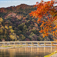 Buy canvas prints of Autumn at Arashiyama, Kyoto, Japan by Colin & Linda McKie