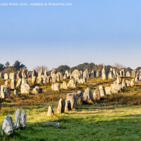 Buy canvas prints of Carnac Alignments by Colin & Linda McKie